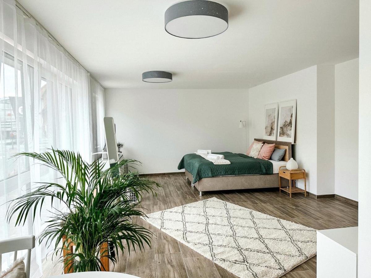 Sali Homes Elegant And Stylish Retreat In Heart Of Bayreuth, Close To River المظهر الخارجي الصورة